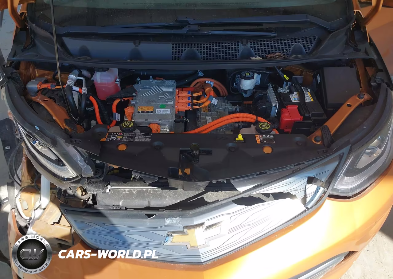 2017 Chevrolet Bolt Ev Lt VIN:1G1FW6S03H4181617 - 10