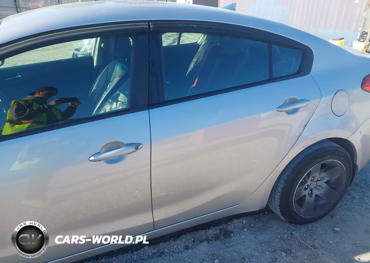 2015 Kia Forte Lx VIN:KNAFK4A63F5361133 - 18