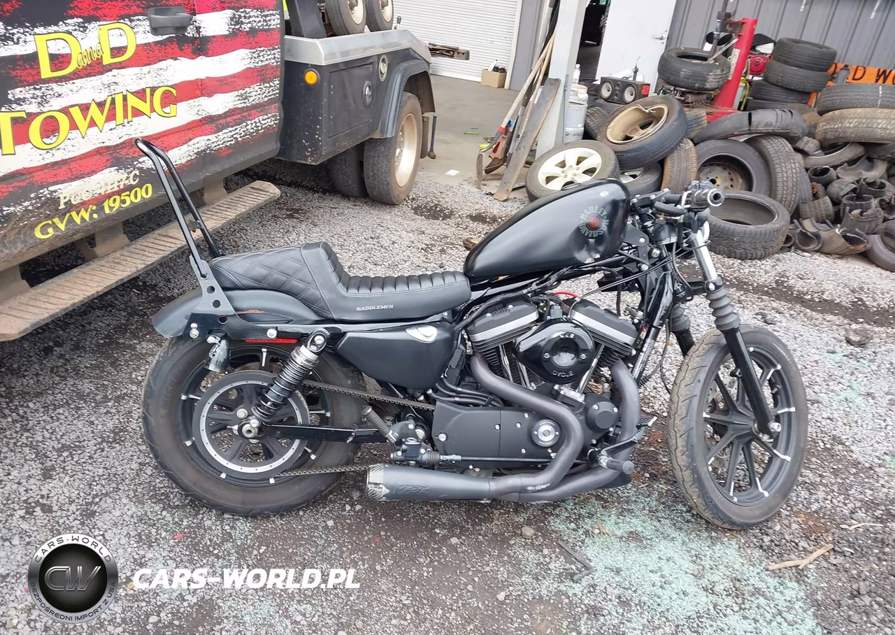 2019 Harley-Davidson Xl883 N VIN:1HD4LE214KC422543 - 12