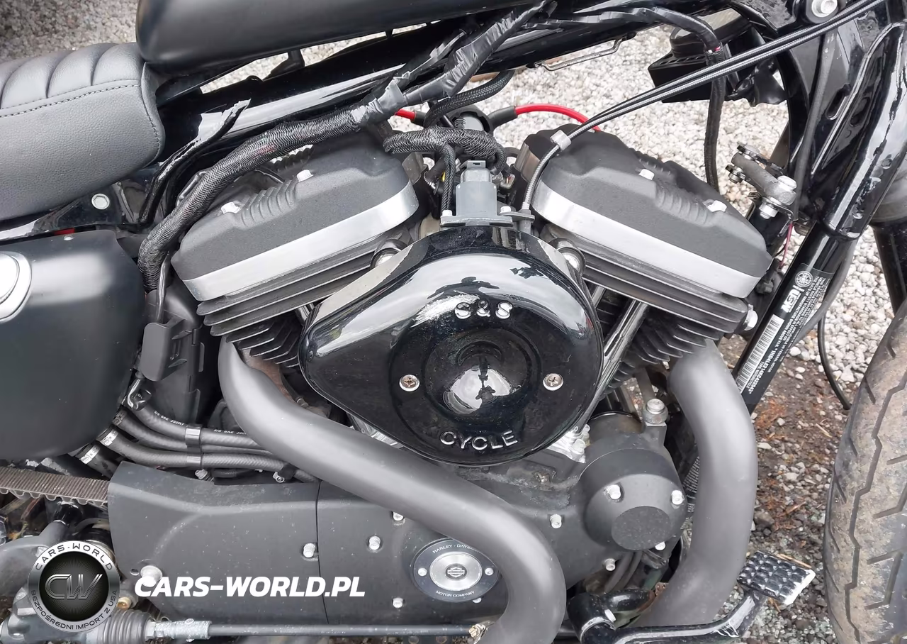 2019 Harley-Davidson Xl883 N VIN:1HD4LE214KC422543 - 8