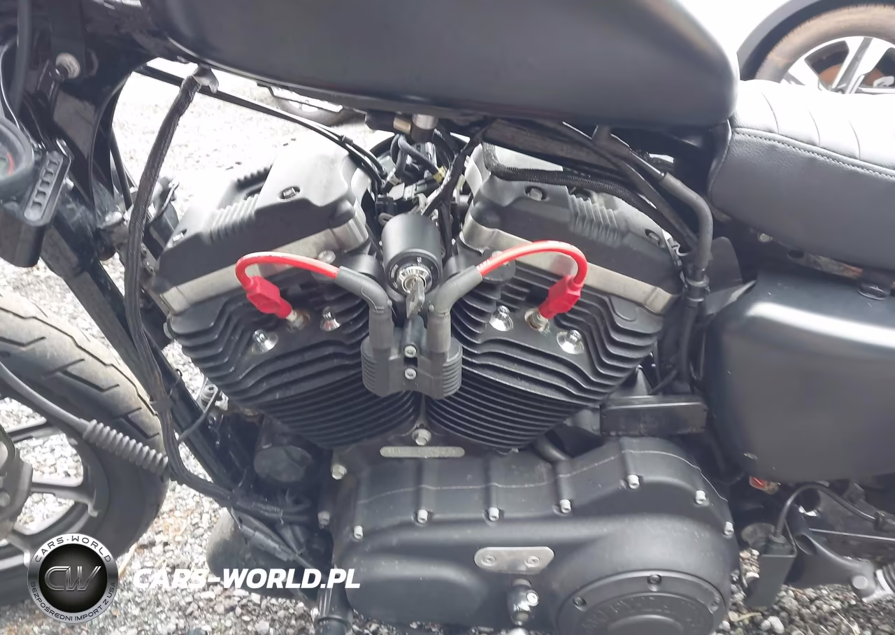 2019 Harley-Davidson Xl883 N VIN:1HD4LE214KC422543 - 9