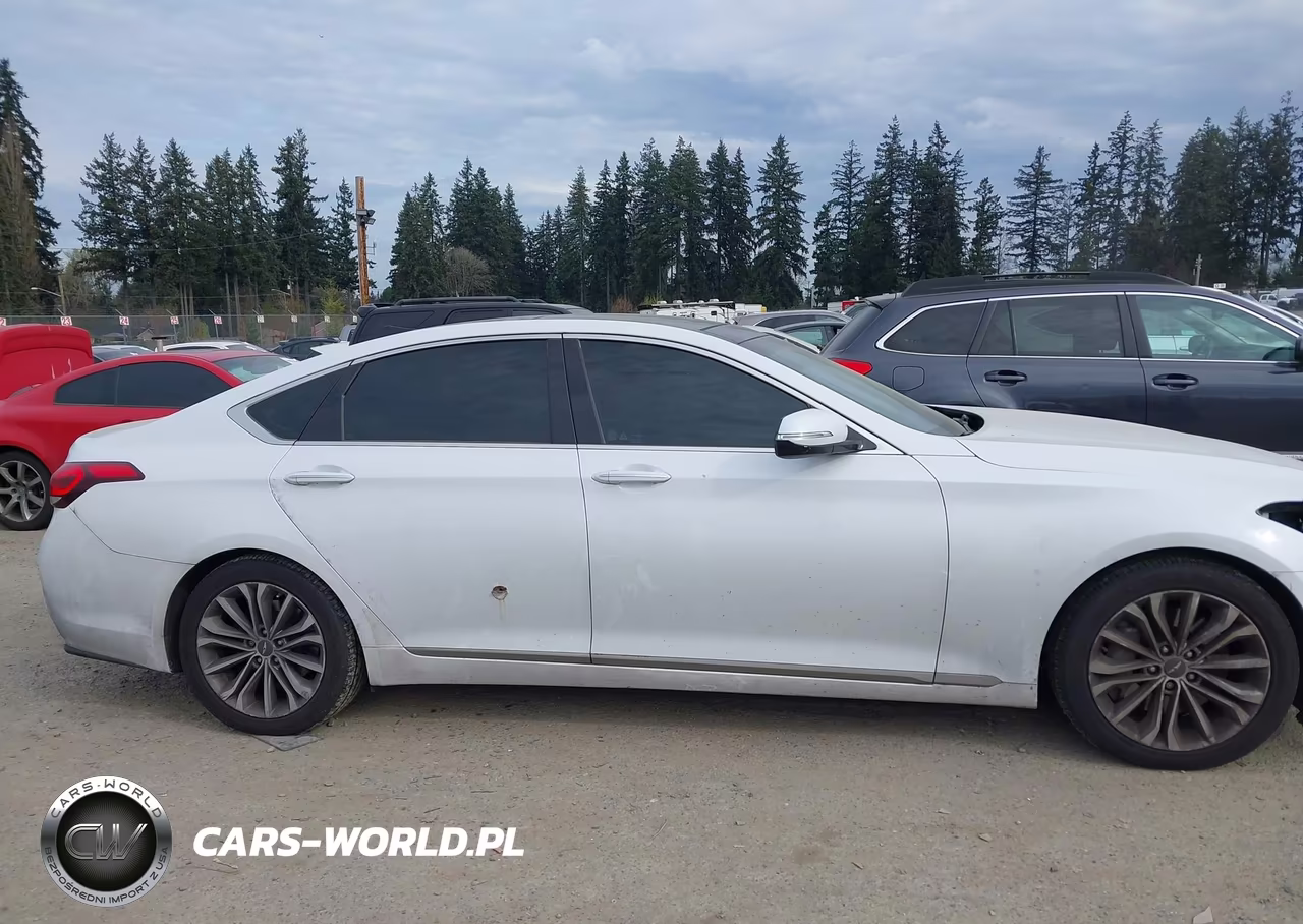 2017 Genesis G80 3.8 VIN:KMHGN4JE4HU183520 - 13
