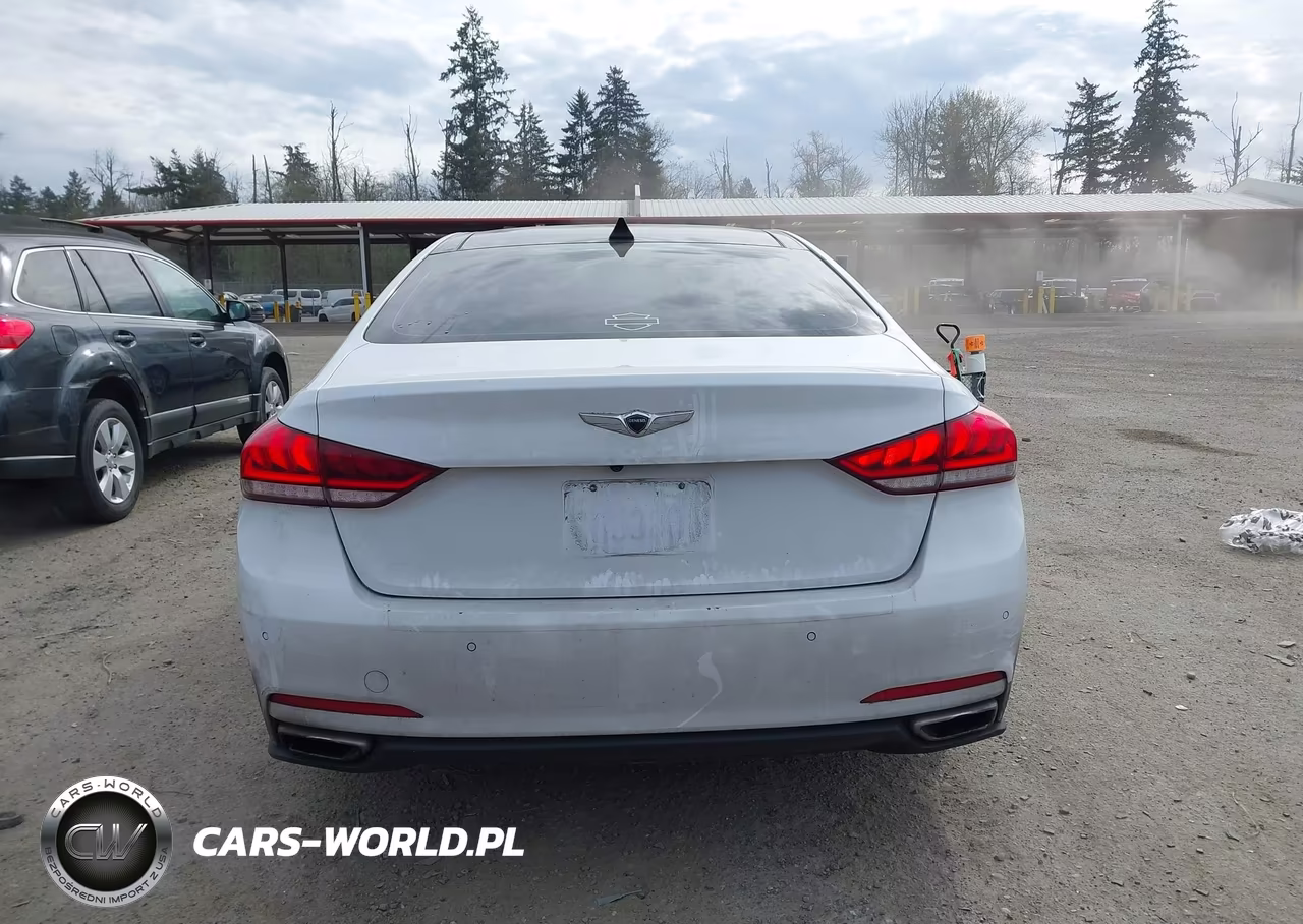 2017 Genesis G80 3.8 VIN:KMHGN4JE4HU183520 - 16