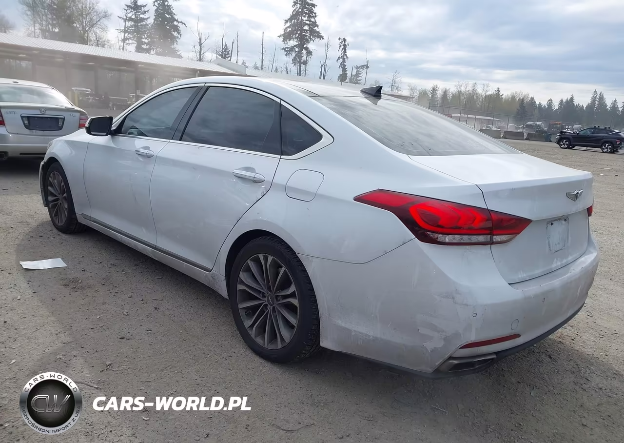 2017 Genesis G80 3.8 VIN:KMHGN4JE4HU183520 - 3