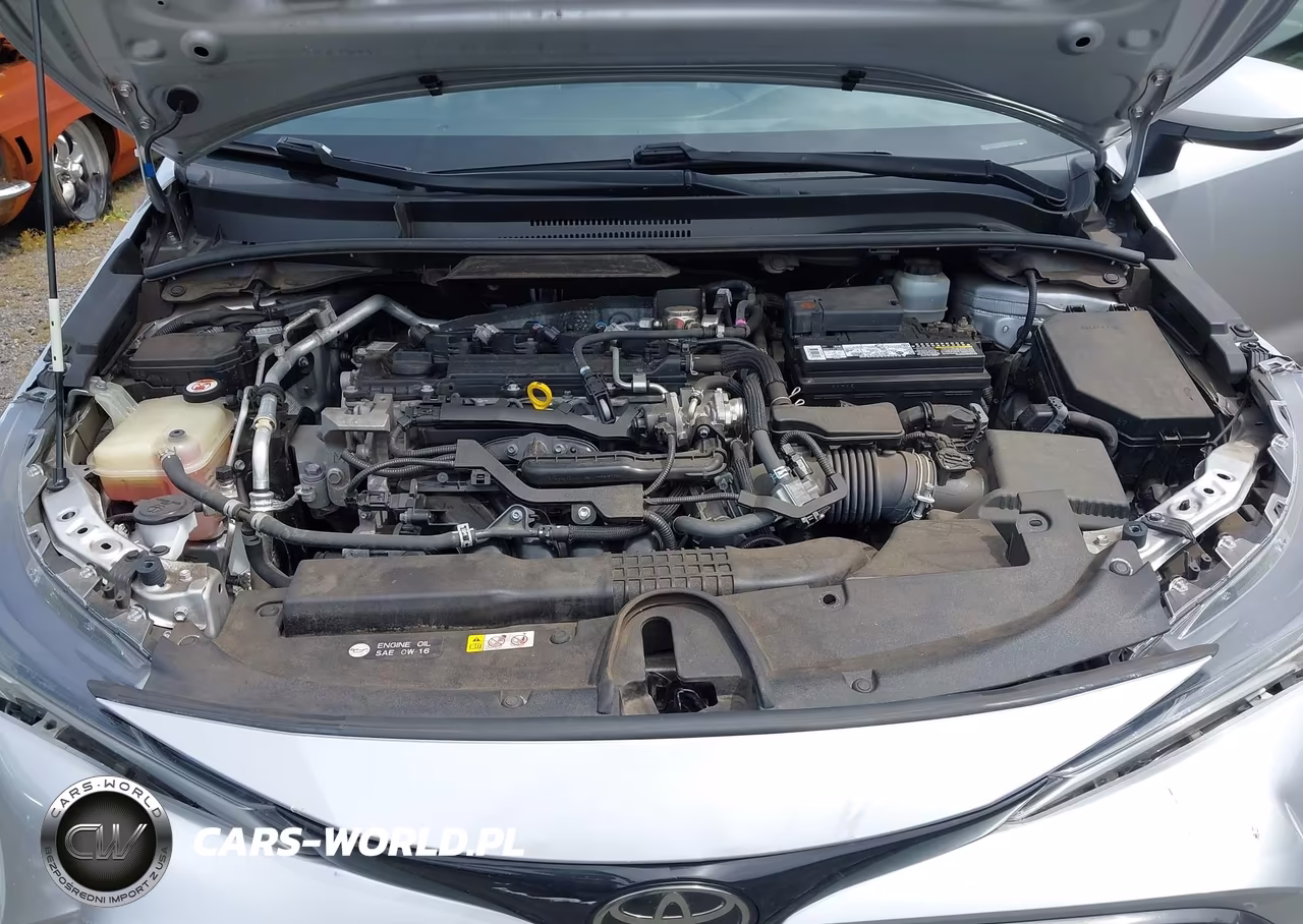 2019 Toyota Corolla Se VIN:JTNK4RBE0K3060190 - 10