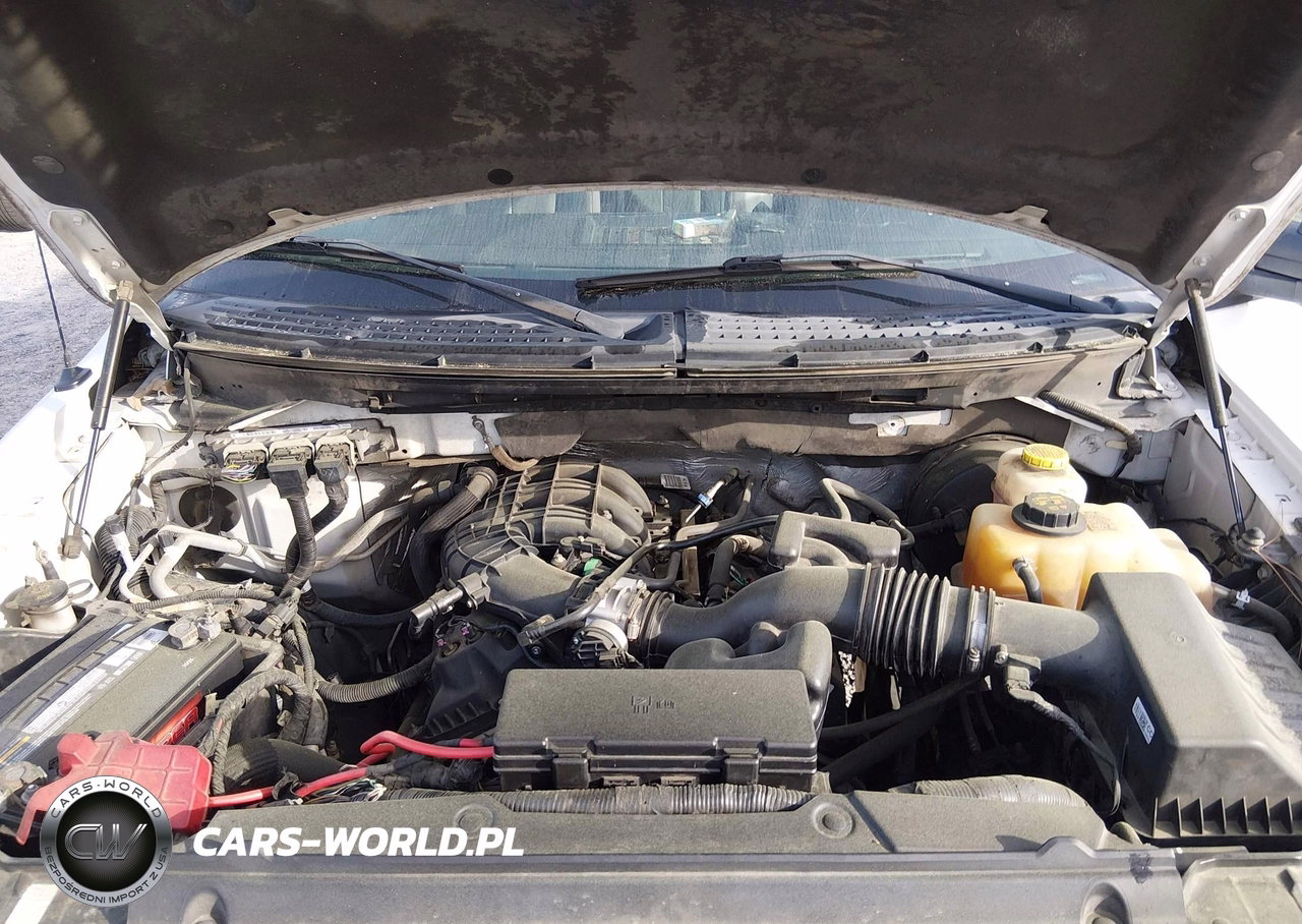 2014 Ford F-150 Xl VIN:1FTEX1CM4EKF62694 - 10