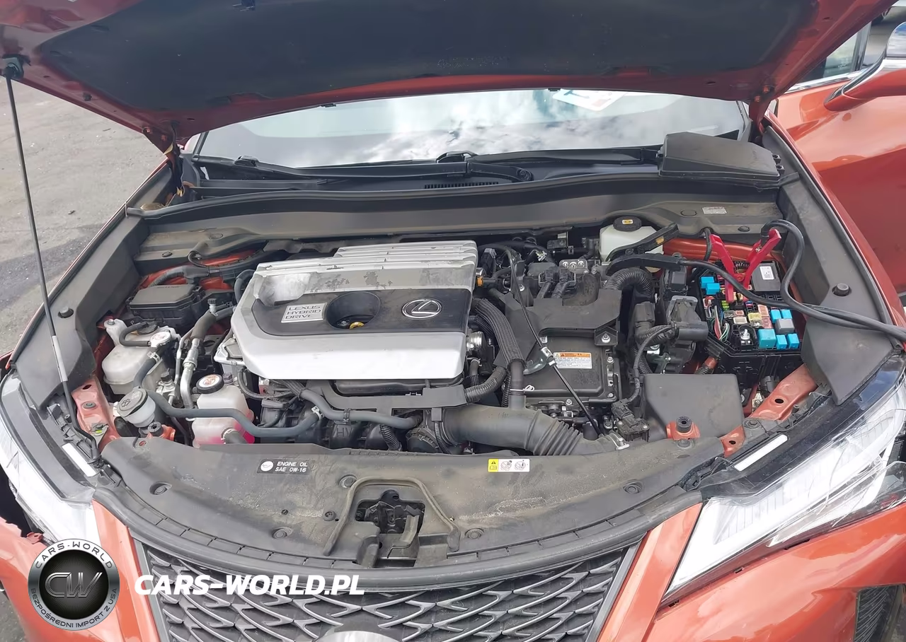 2021 Lexus Ux 250H F Sport VIN:JTHE9JBH9M2043572 - 10