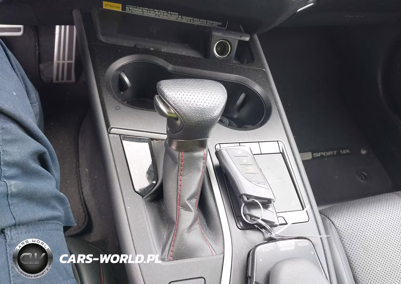 2021 Lexus Ux 250H F Sport VIN:JTHE9JBH9M2043572 - 11
