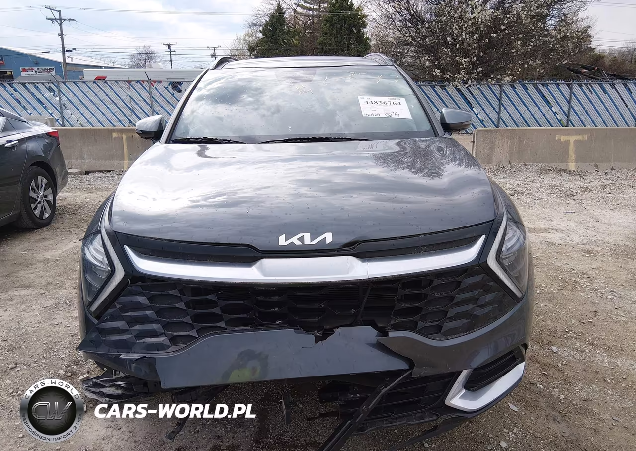2023 Kia Sportage Sx VIN:5XYK43AF8PG024388 - 12
