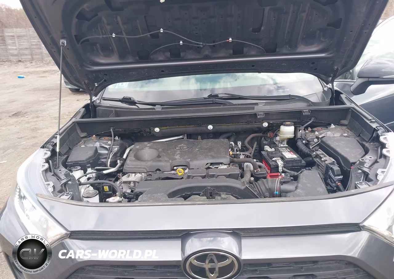 2019 Toyota Rav4 Xle VIN:JTMP1RFV6KD023457 - 10