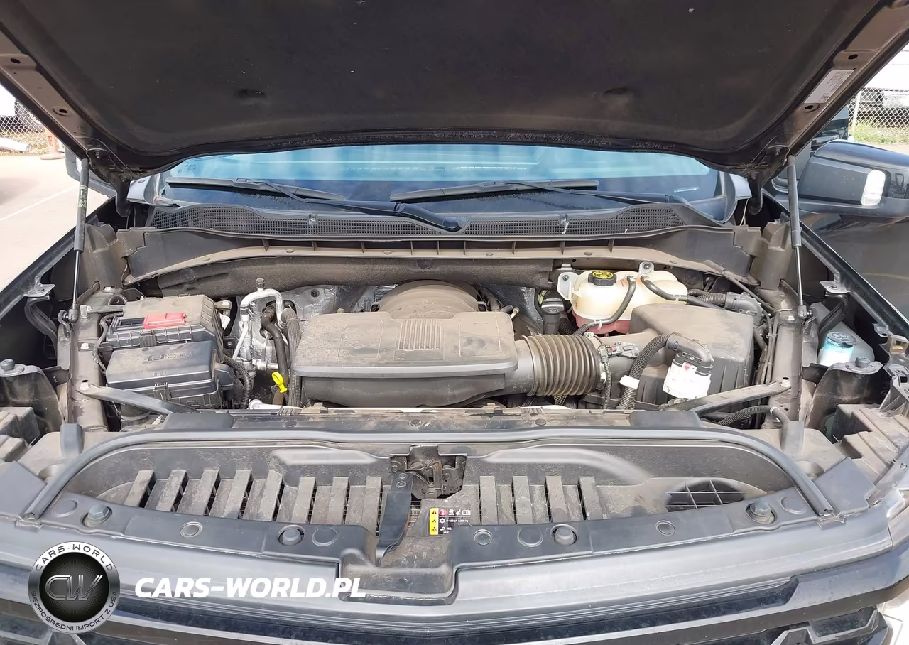 2023 Chevrolet Silverado 1500 4Wd Short Bed Lt Trail Boss VIN:3GCUDFED8PG278770 - 10