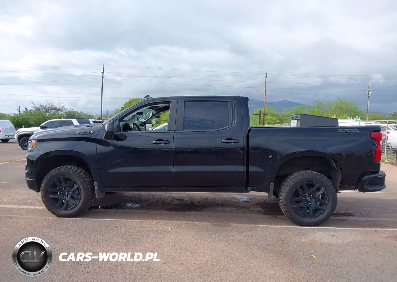 2023 Chevrolet Silverado 1500 4Wd Short Bed Lt Trail Boss VIN:3GCUDFED8PG278770 - 14