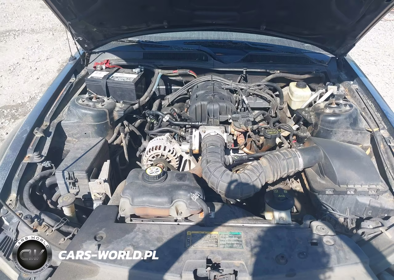 2006 Ford Mustang V6 VIN:1ZVFT84N465261002 - 10