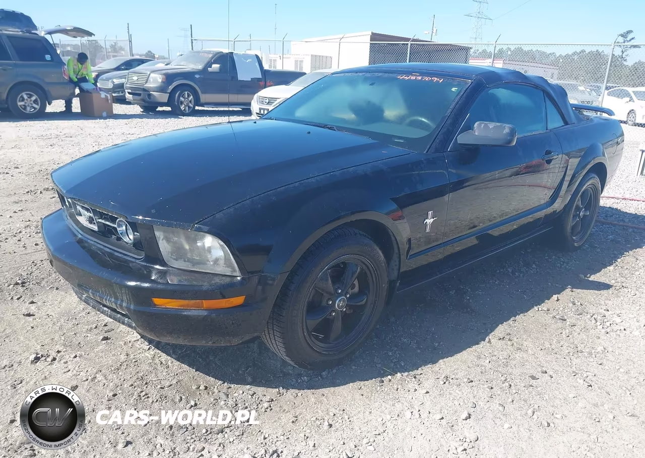 2006 Ford Mustang V6 VIN:1ZVFT84N465261002 - 2