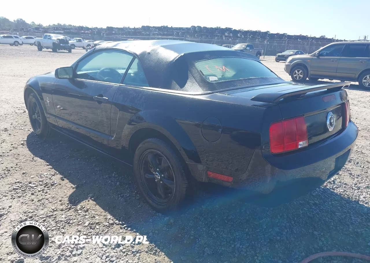 2006 Ford Mustang V6 VIN:1ZVFT84N465261002 - 3