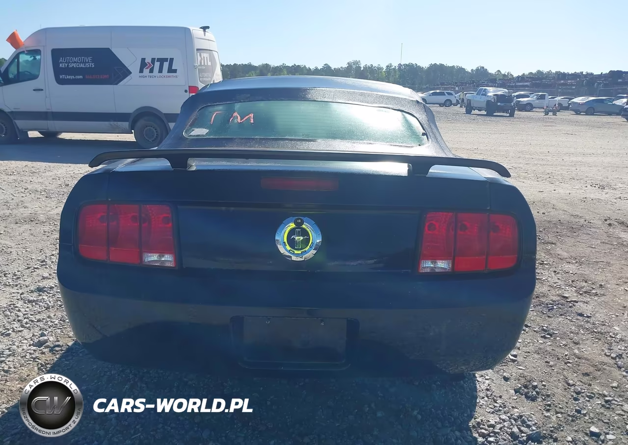 2006 Ford Mustang V6 VIN:1ZVFT84N465261002 - 6