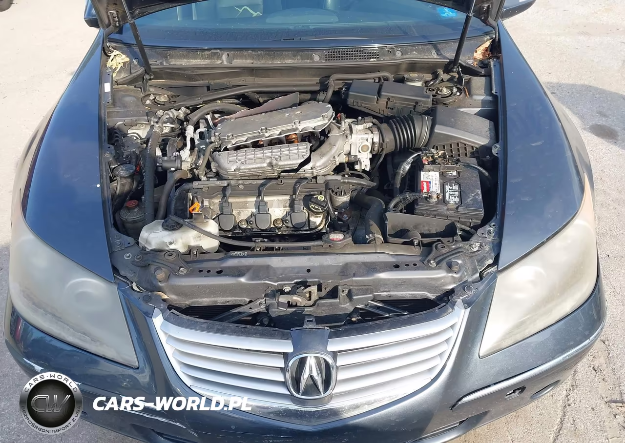 2005 Acura Rl 3.5 VIN:JH4KB16555C017960 - 10