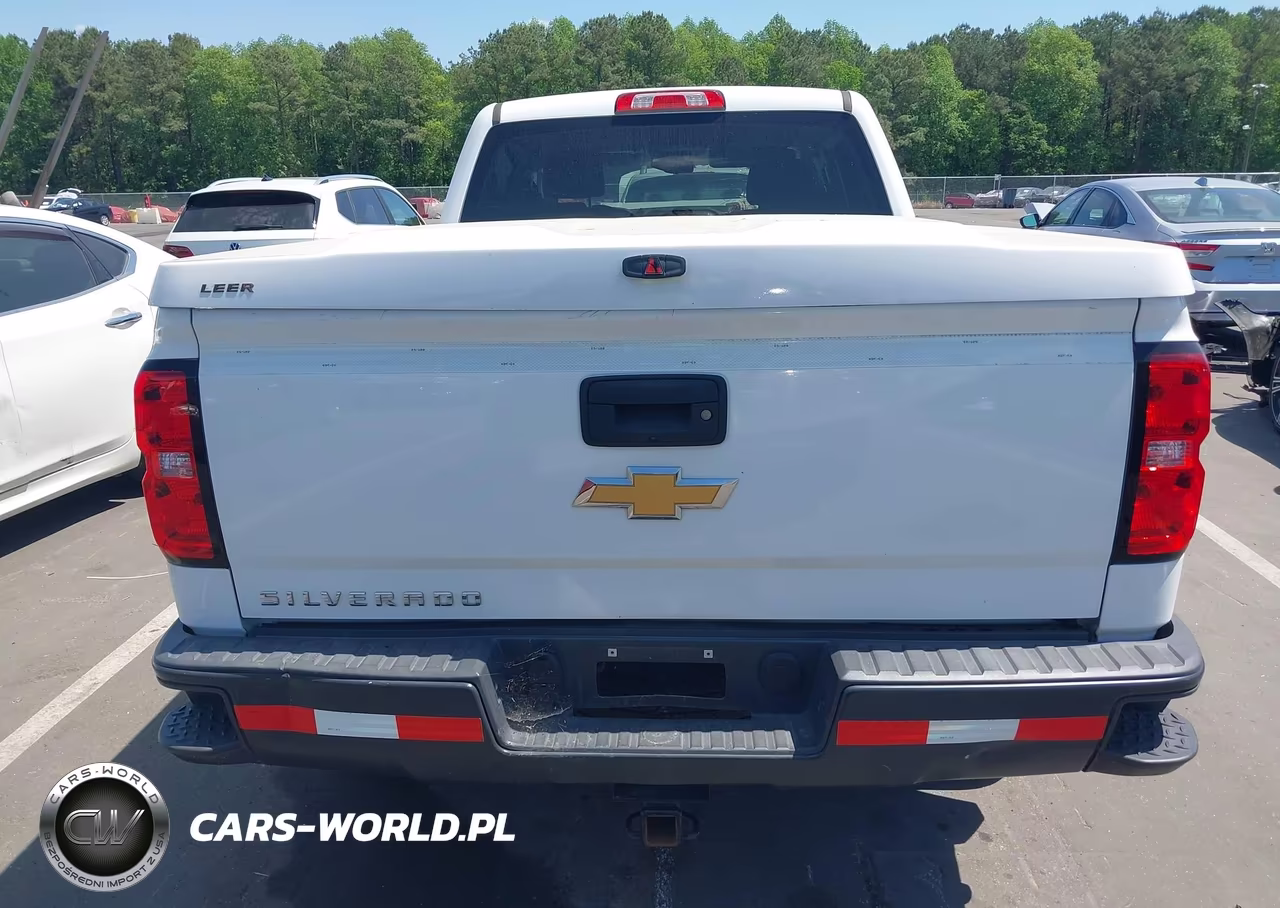 2018 Chevrolet Silverado 1500 Wt VIN:3GCUKNEC7JG179713 - 16