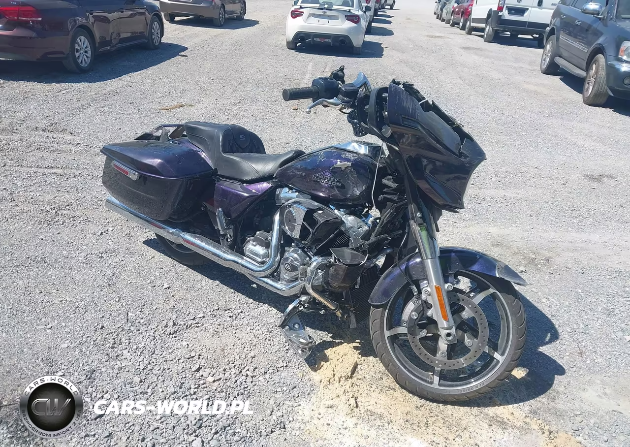 2025 Harley-Davidson Flhx