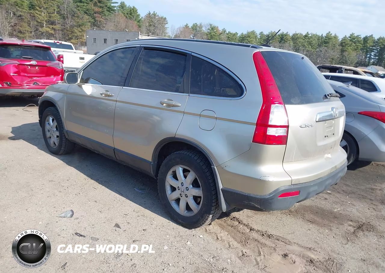 2007 HONDA CR-V EX-L VIN:JHLRE48787C077003 - 3