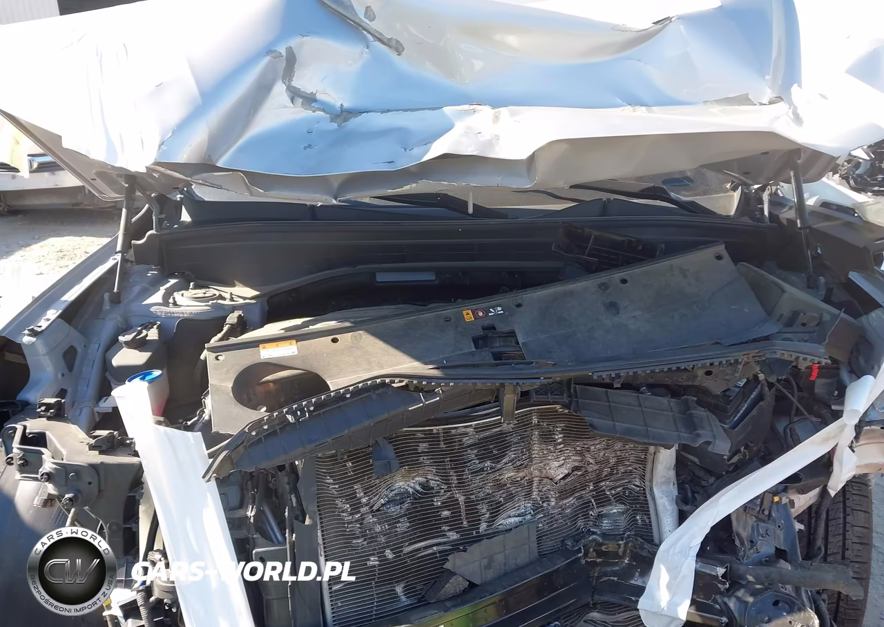2021 Hyundai Palisade Sel VIN:KM8R34HE7MU270133 - 10