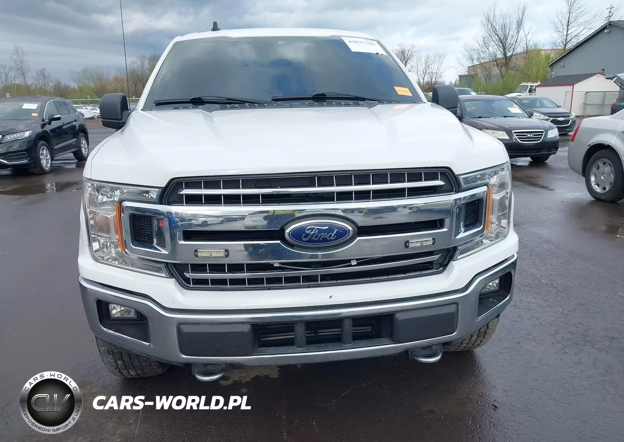 2019 Ford F-150 Xlt VIN:1FTFW1E47KFC06359 - 12