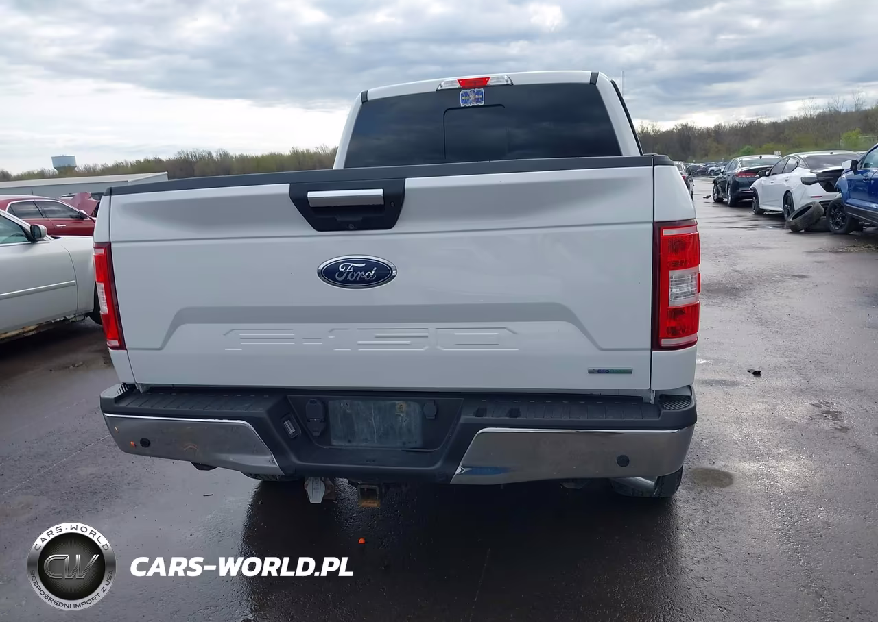 2019 Ford F-150 Xlt VIN:1FTFW1E47KFC06359 - 16
