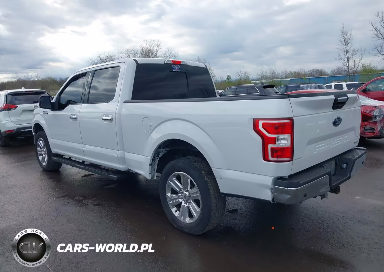 2019 Ford F-150 Xlt VIN:1FTFW1E47KFC06359 - 3