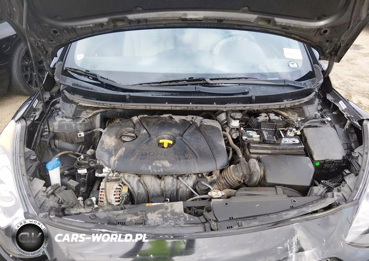 2013 Hyundai Elantra Gt VIN:KMHD35LE2DU141451 - 10