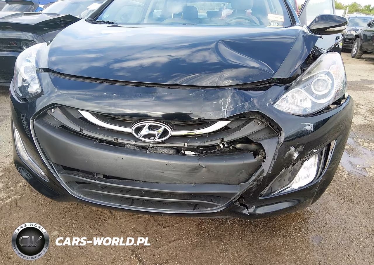 2013 Hyundai Elantra Gt VIN:KMHD35LE2DU141451 - 6