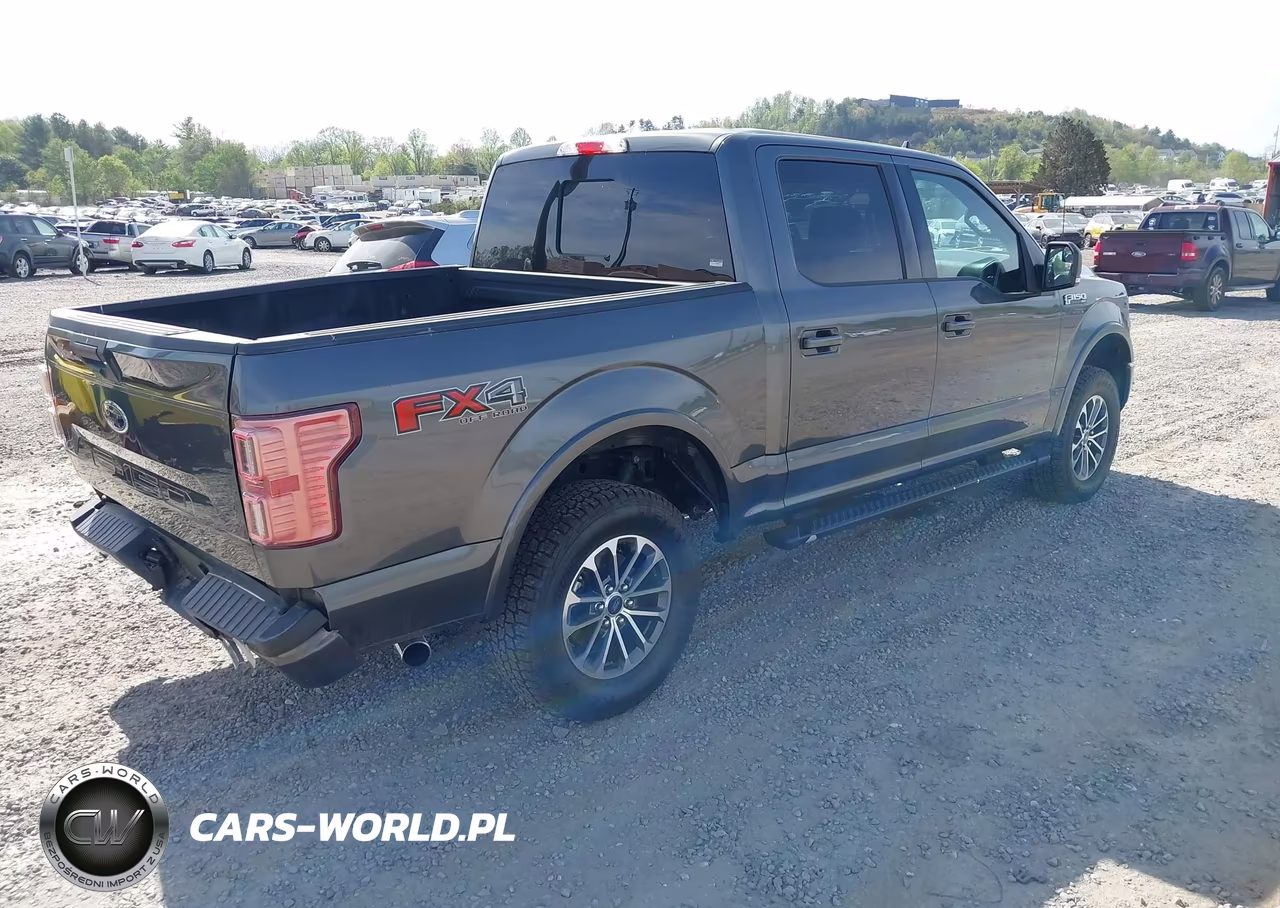 2020 Ford F-150 Xlt VIN:1FTEW1E56LFC16922 - 4