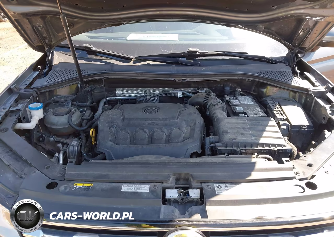 2019 Volkswagen Tiguan 2.0T S VIN:3VV1B7AX5KM049117 - 10