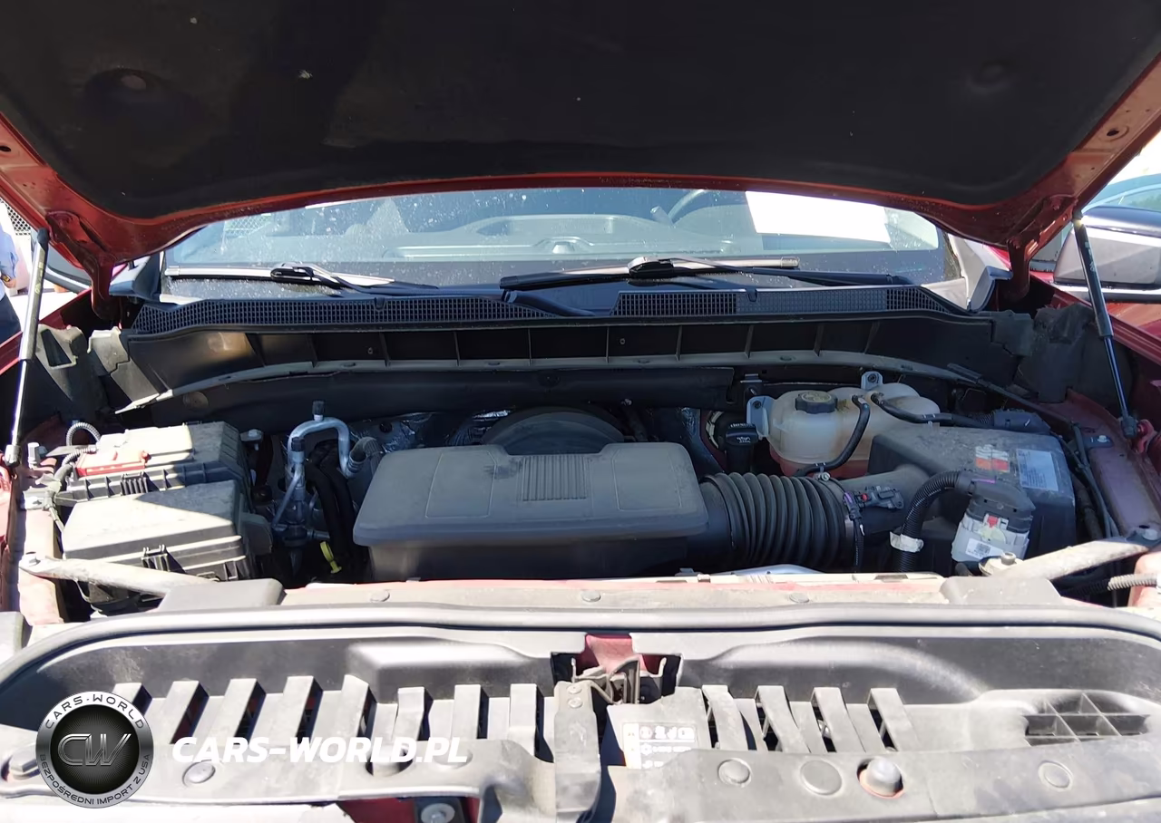 2021 Chevrolet Silverado 1500 4Wd Short Bed Lt Trail Boss VIN:3GCPYFED4MG432467 - 10