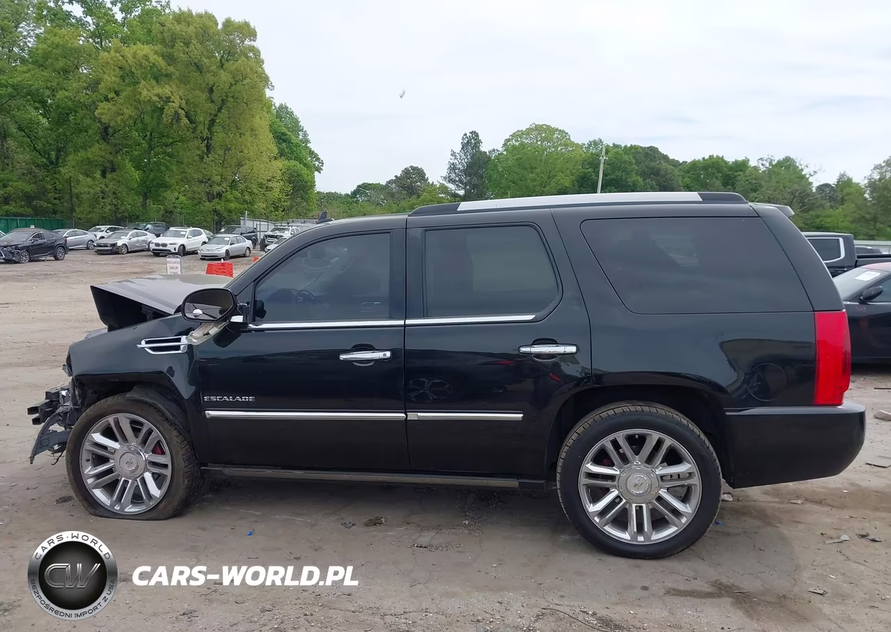 2011 Cadillac Escalade Platinum Edition VIN:1GYS3DEF4BR290644 - 14