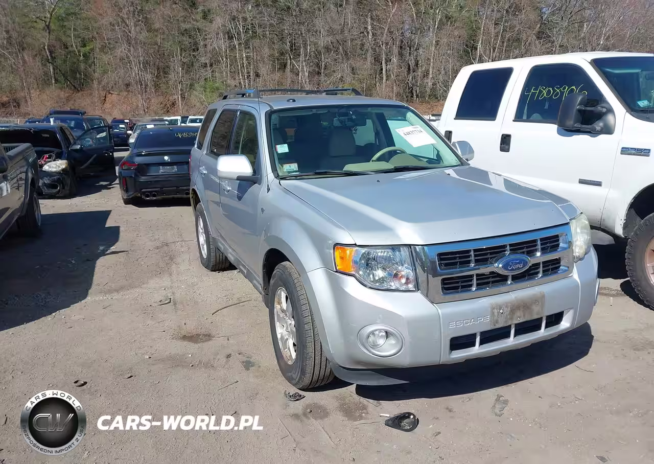 2010 Ford Escape Limited