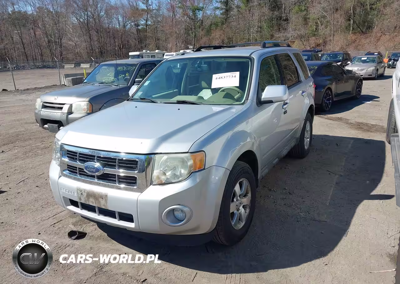2010 Ford Escape Limited VIN:1FMCU0EG2AKB89243 - 2