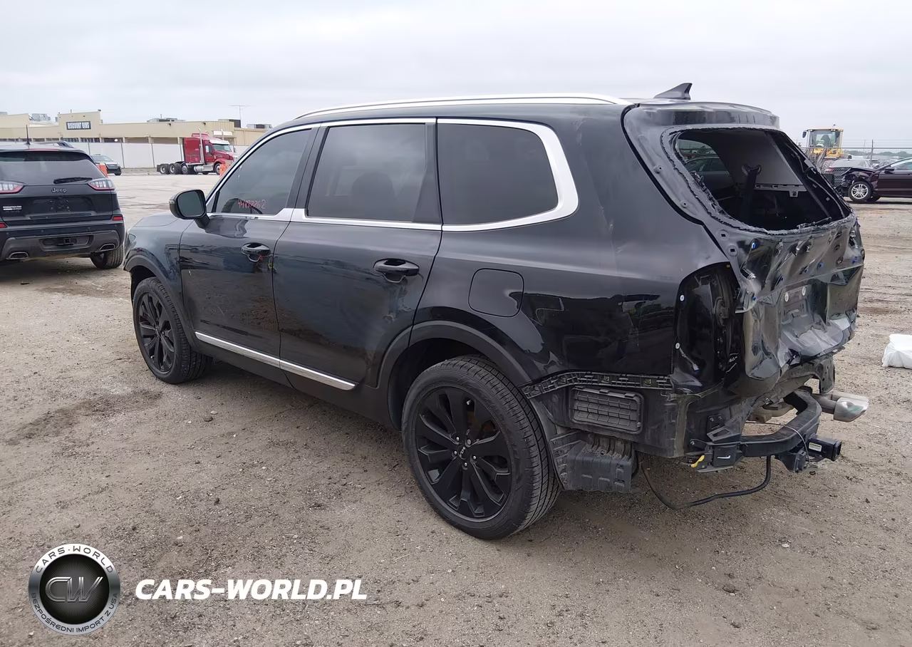 2022 Kia Telluride Ex VIN:5XYP34HC7NG258187 - 3