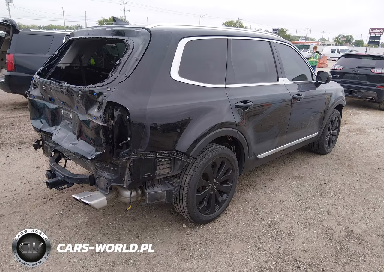 2022 Kia Telluride Ex VIN:5XYP34HC7NG258187 - 4
