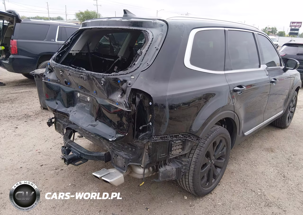 2022 Kia Telluride Ex VIN:5XYP34HC7NG258187 - 6