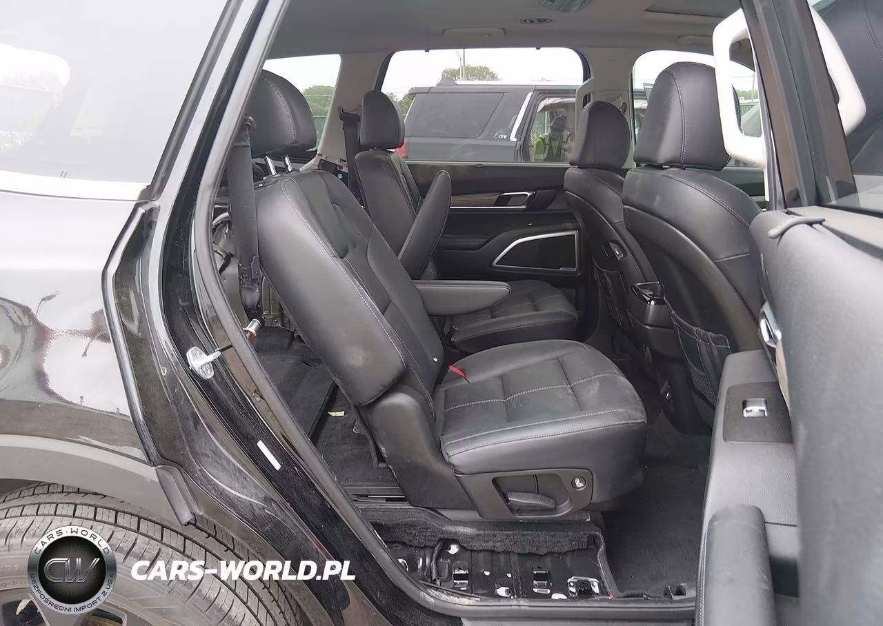 2022 Kia Telluride Ex VIN:5XYP34HC7NG258187 - 8