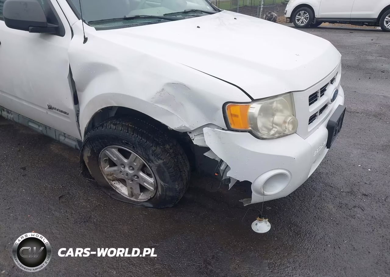 2009 Ford Escape Hybrid Limited VIN:1FMCU59329KC82943 - 6