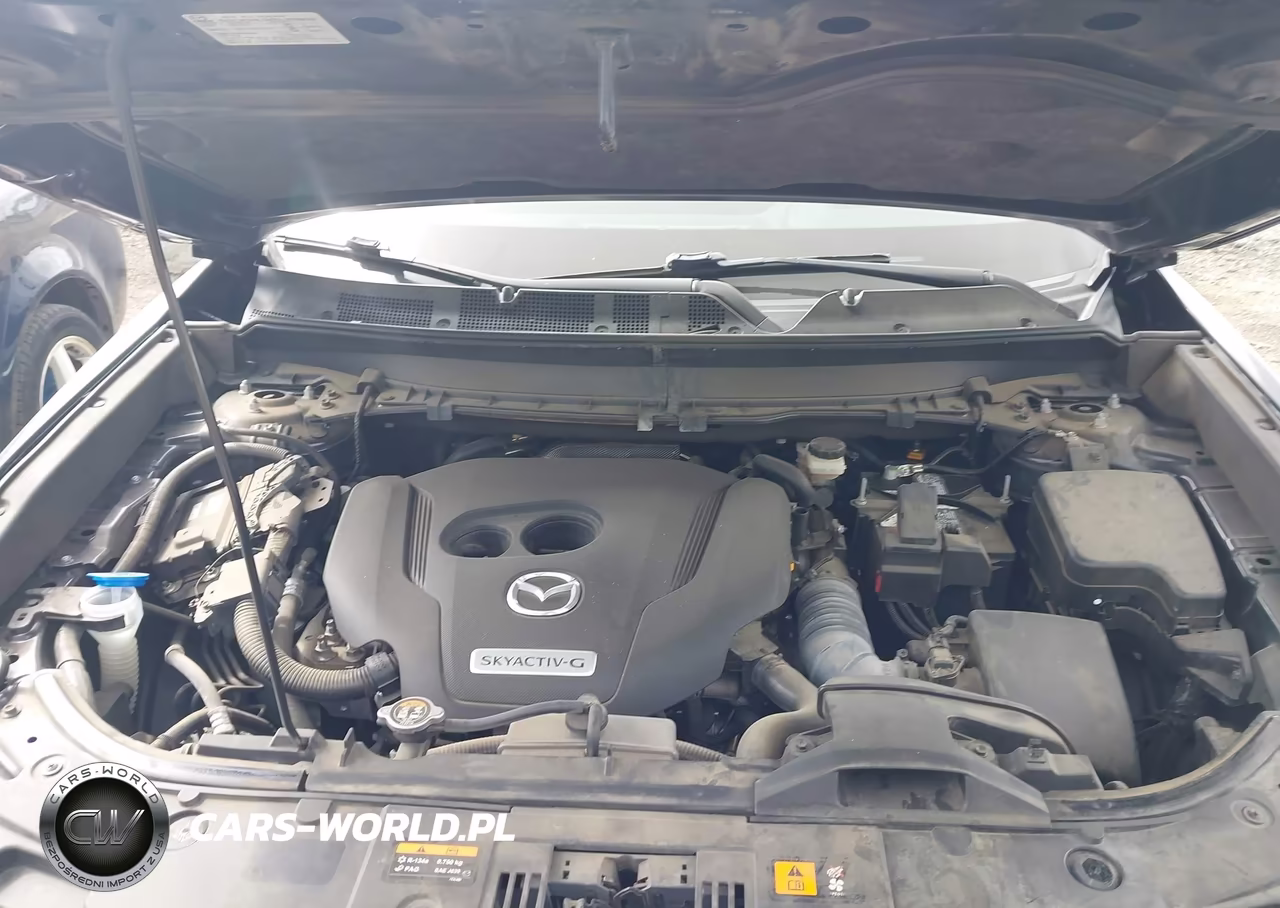 2020 Mazda Cx-9 Grand Touring VIN:JM3TCBDY9L0418214 - 10