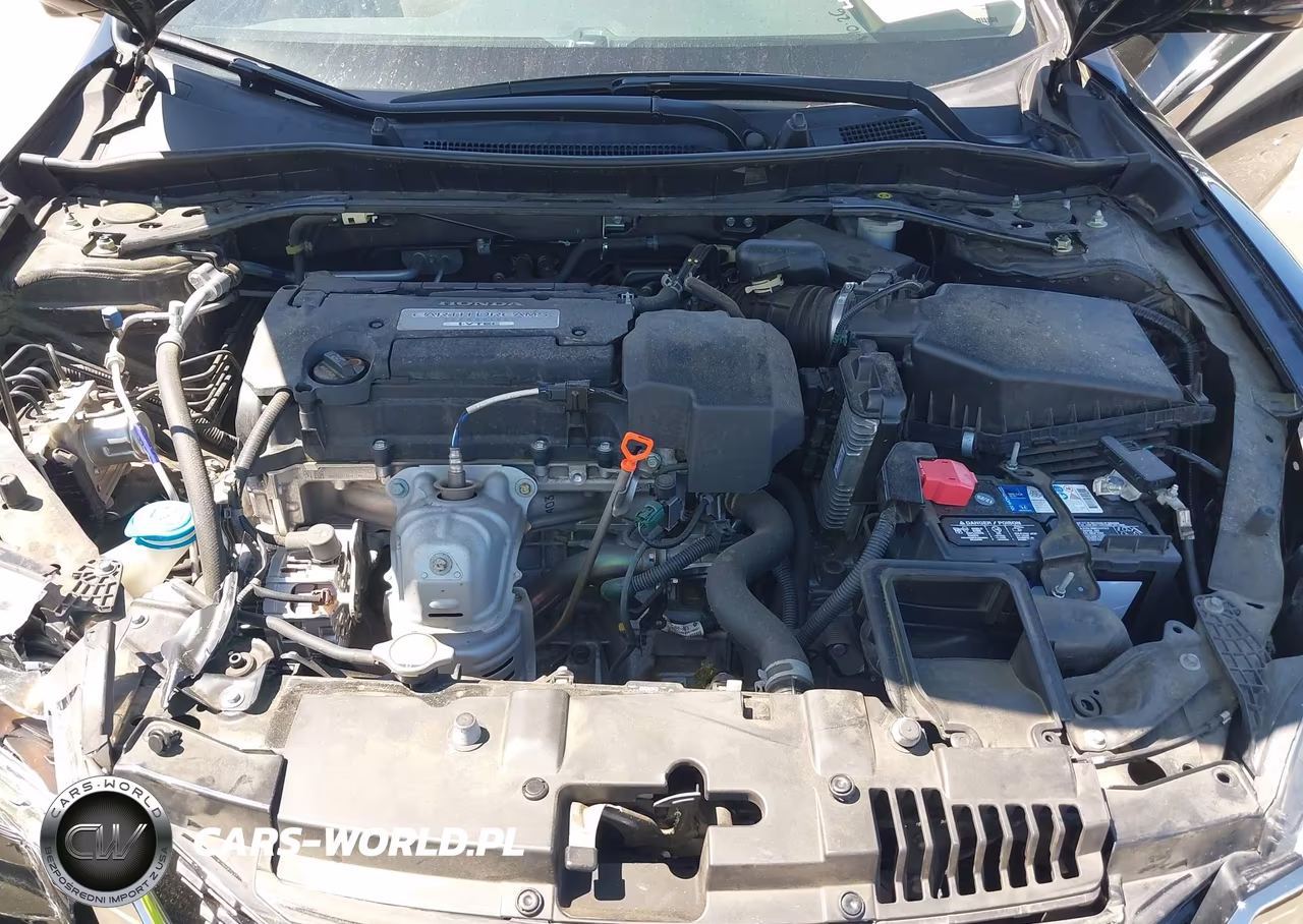 2013 Honda Accord Ex-L VIN:1HGCT1B82DA013265 - 10