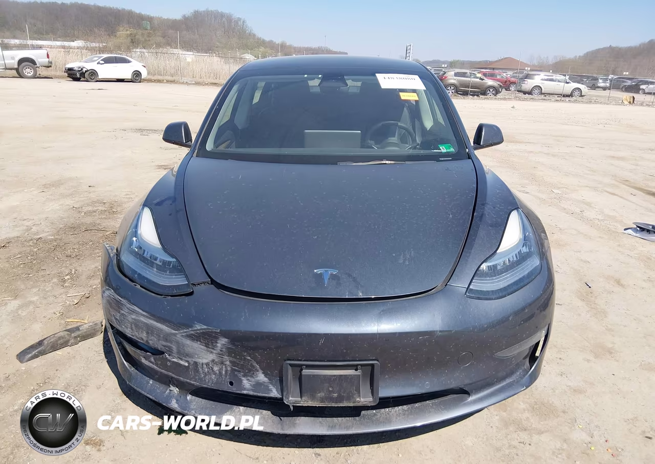 2022 Tesla Model 3 Long Range Dual Motor All-Wheel Drive VIN:5YJ3E1EB3NF260982 - 11