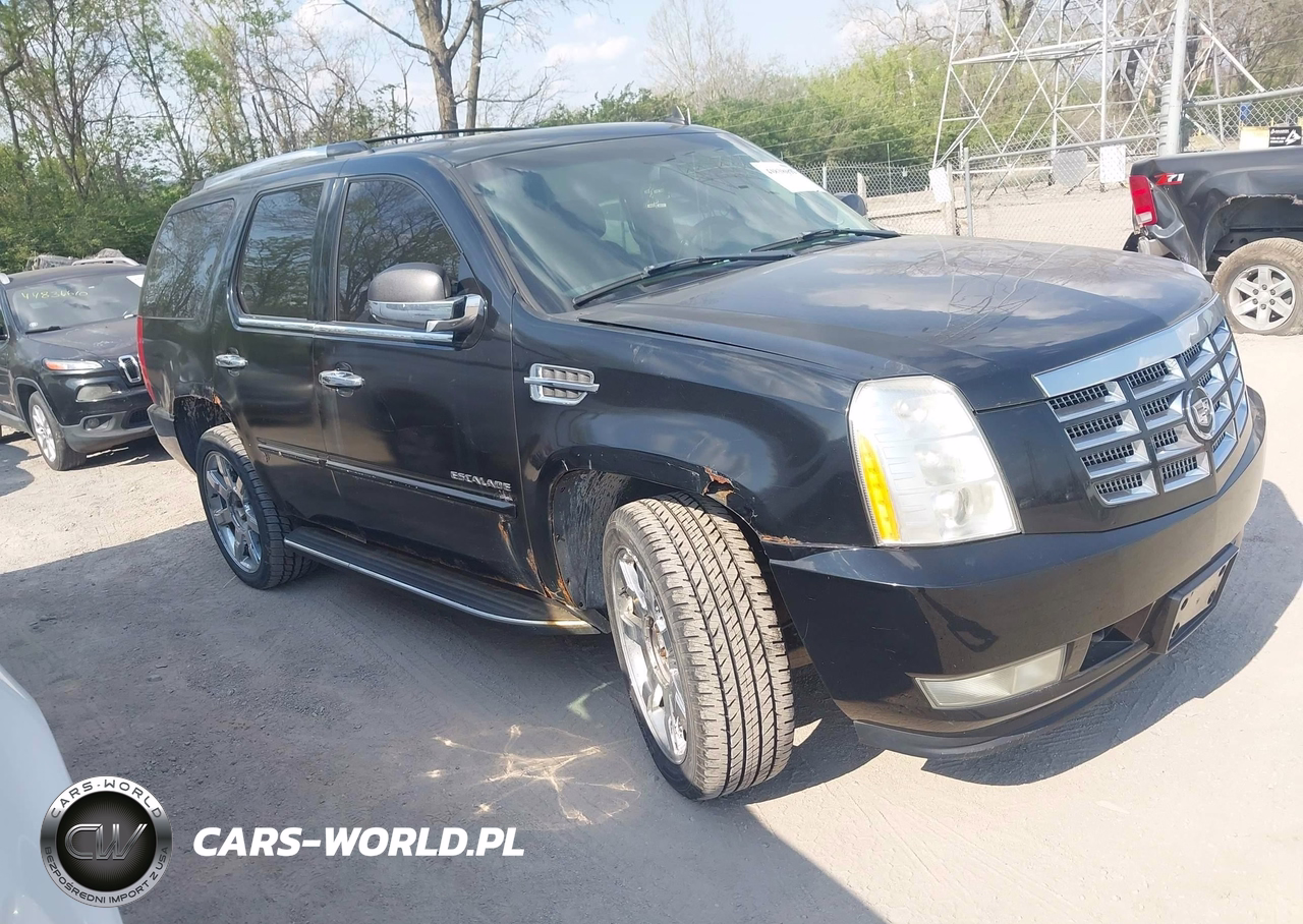 2007 Cadillac Escalade Standard