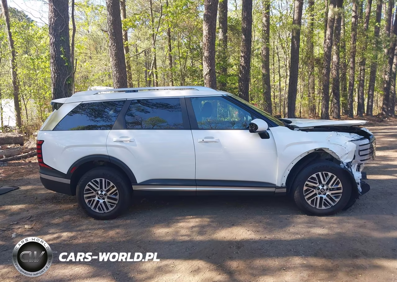 2026 Hyundai Palisade Sel 7P VIN:KM8RLES28TU079873 - 14