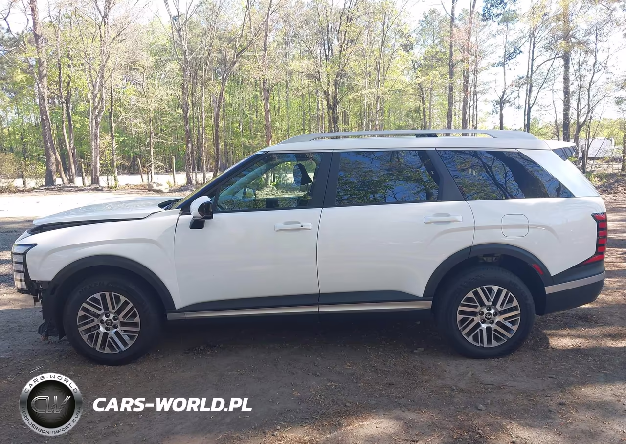 2026 Hyundai Palisade Sel 7P VIN:KM8RLES28TU079873 - 15