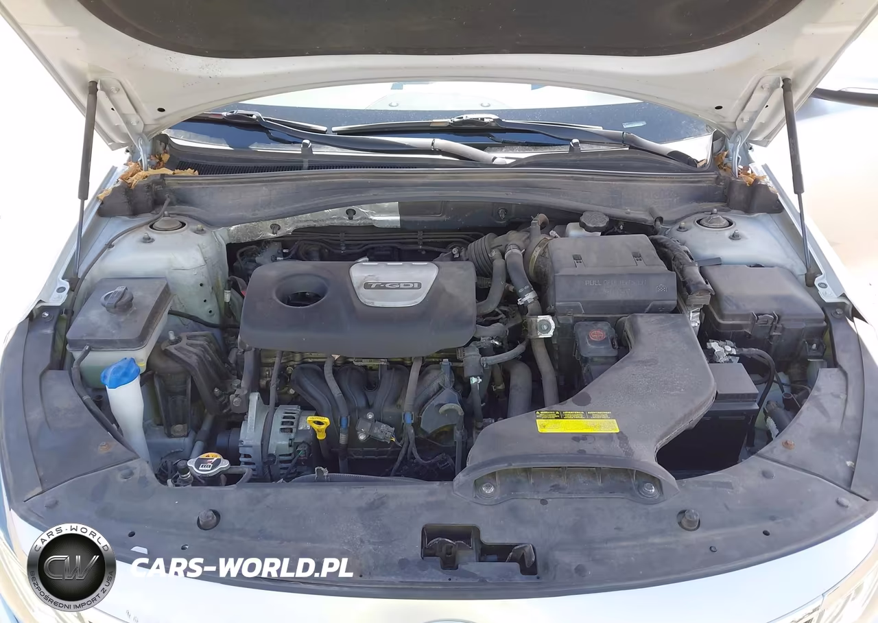 2020 Kia Optima Ex Premium VIN:5XXGU4L13LG393820 - 10