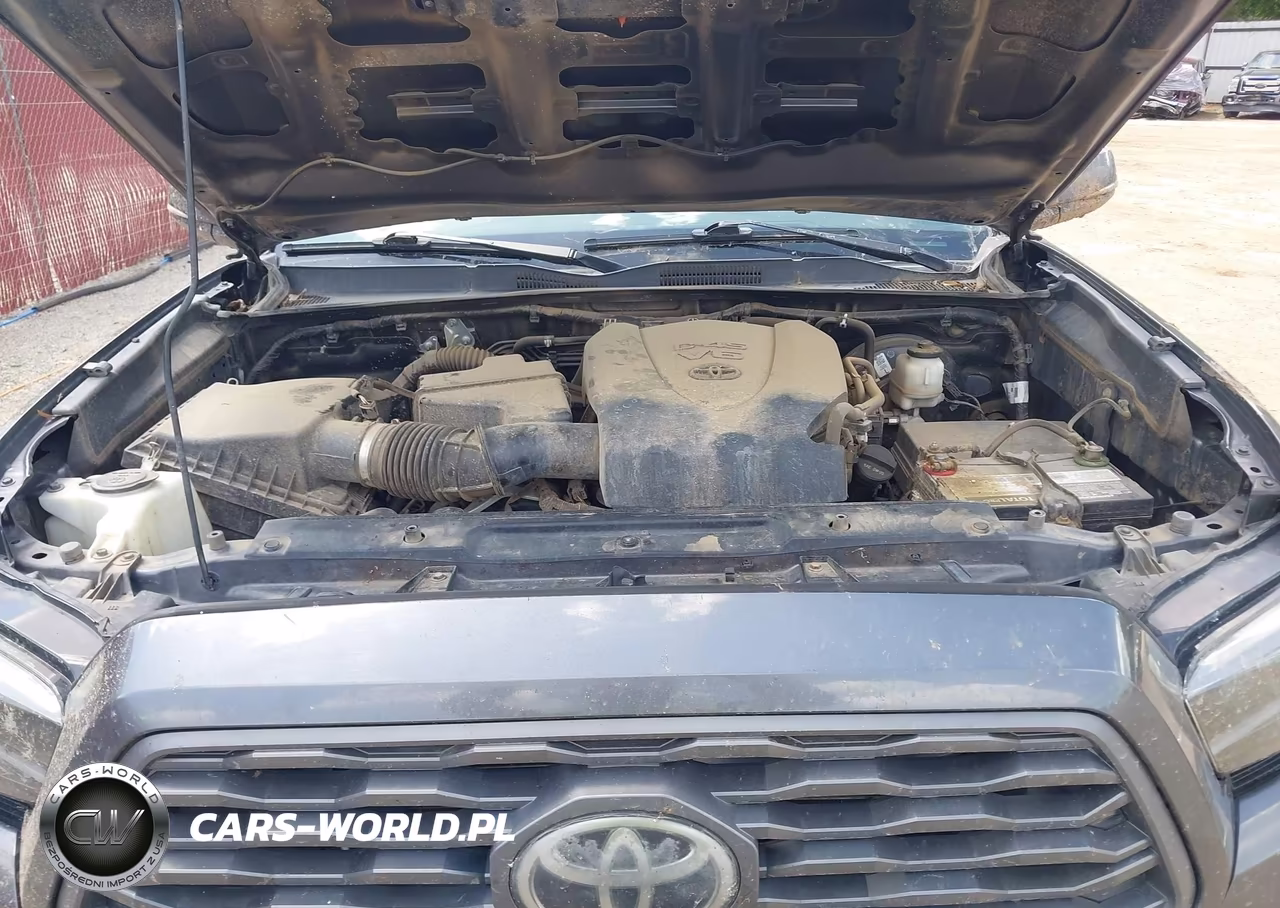 2020 Toyota Tacoma Trd Sport VIN:5TFCZ5AN5LX230798 - 10