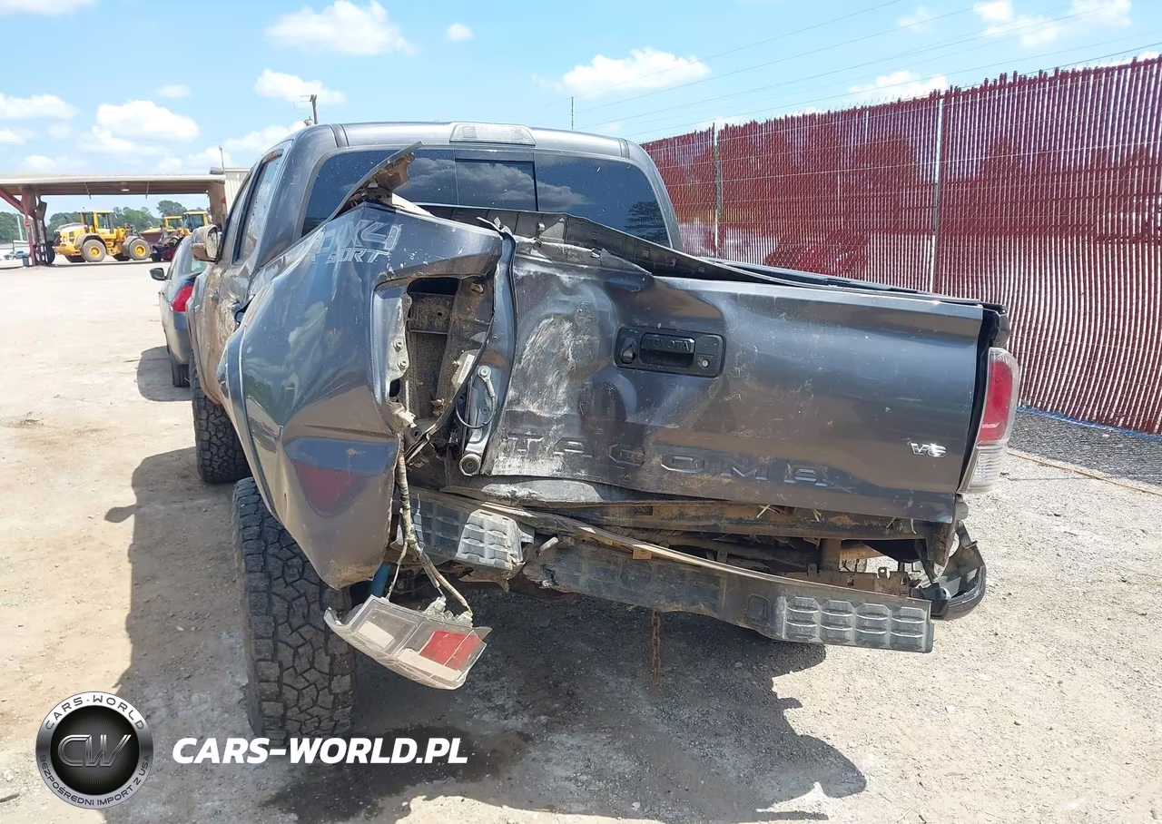 2020 Toyota Tacoma Trd Sport VIN:5TFCZ5AN5LX230798 - 6